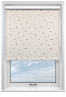 Dasching About, Puppy Biscuit - Roller Blind